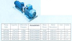 Durulsan Lpg Side Channel Pump - 4M³/Hr - Set